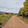 Nabesna Road.
Mile 40.