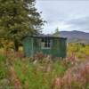 Survival shelter.
Nabesna, Alaska.