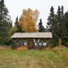 Nabesna, Alaska.
Backwoodsman's home.