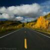 Glenn Highway.
Beautiful autumn foliage.
Near Slana.