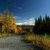 Mount Sanford.
View through the trees.
Glenn Highway.