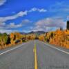 More spectacular autumn
foliage.
Mile 70-Glenn Highway.