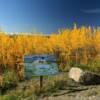 Beautifully 'bronzed'
scenic turnout.
Alcan Highway
Near Tetlin Junction.