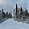 Snow-covered
southern Alaska
bush road.
Near Kenai, AK.