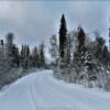 Snow-covered
southern Alaska
bush road.
Near Kenai, AK.