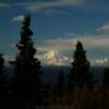 Mount Redoubt
(thru the pines)