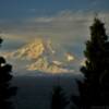 Mt Redoubt
(amidst the pines)