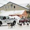 The arrival of another
Iditorad musher.
Nome, Alaska.