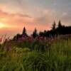 Gorgeous August sunset.
Near Homer.