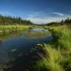 Picturesque Swanson River.
Near Sterling, Alaska.