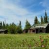 1930's musher's cabin
Copper River, AK.