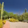 Organ Pipe Monument
Visitor Center grounds.
Southwest Arizona.