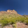 'Camels Hump' Hill.
Organ Pipe National Monument.