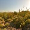 Beautiful southern Arizona.
In early April.