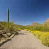 'Classic spot'
Organ Pipe Monument.