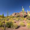 Camel's Hill
Organ Pipe Monument.