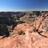 Guano Point.
Look west down the
Colorado River.