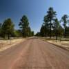 Coconino National Forest.
Northern Arizona.