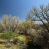 Verde River.
Perkinsville, AZ.