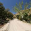 Southeast Arizona County Road.