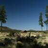 Typical Coconino County
ranch and barn.