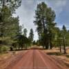 More of the 
Coconino National Forest.
Northern Arizona.