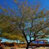 Interstate 10 Rest Stop-near Quartzsite, Arizona