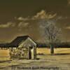 Old stone shed
near Dutch Mills, Arkansas