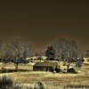 Central Arkansas's rugged cattle country
Near Onyx, Arkansas