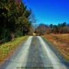 "Lover's Lane"
Near Cherry Hill, Arkansas