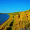 Alberta's Peace River-in Mid Autumn-near Fort Vermillion, Alberta
