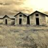 Abandoned storage shacks-
near Foremost, Alberta~