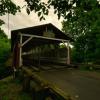 1861 Powerscourt Covered Bridge.
Near Hinchinbrooke, QC.