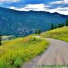 Travellling down (south) on the Hedley Forest Road-
near Hedley, BC~