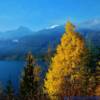 Lake Revelstoke (near Mica, BC)-in mid-October