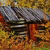 Squatters cabin-Fort Saint James, BC