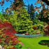 Butchart Gardens (in all of their brilliance)