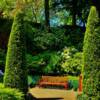 Butchart Gardens-'resting bench'