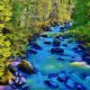 "Rushing rapids" along a creek in southern British Columbia