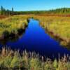 Pristine blue marshlands-near Lac Du Bonnet, Alberta
