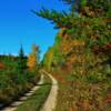 Remote lane-Manitoba's southeastern remote wilderness