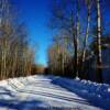 Early-March along the winter road to Little Grand Rapids, Manitoba