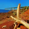 New Brunswick's Eastern Shore & the Confederation Bridge to Prince Edward Island