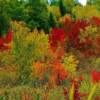 Spectacular fall foliage in New Brunswick's York County