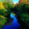 Tranquil colorful stream-near Rogersville, New Brunswick