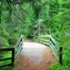 Kent County hiking trail.
Near Cocagne, NB.