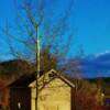 Small storage shed in a scenic setting-near Roddicton, Newfoundland