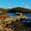 Rustic fishing pier-near Jackson's Arm, Newfoundland