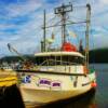 'Atlantic Reaper' perched at Placentia, Newfoundland's inner harbour