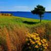 Late-August morning-on Newfoundland's Bay Roberts